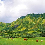 【ハワイで行くべきオススメスポット2016年版】世界中の人々が訪れるハワイの中心・オアフ島①