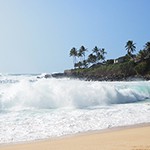 【NO SURF, NO LIFE】波のサイズの測り方。日本とハワイでは測る基準がちがうので要注意！！