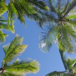 【Aloha Trip】いつも出入国手続きにドキドキする方、必見！「予習」で安心ハワイ旅行