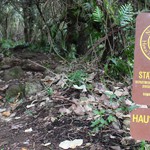 【Trekking in Hawaii-ハウウラ・ループ・トレイル】静かなトレイルを歩きたい時に
