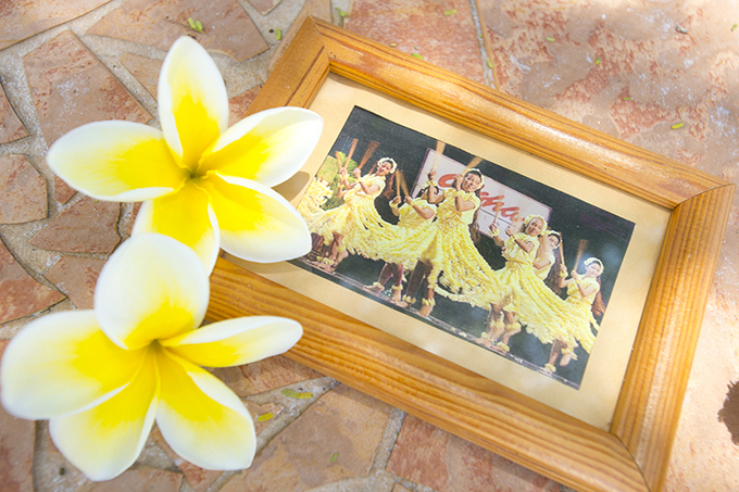 ハワイの花のある暮らし 一番人気のトロピカルプランツ プルメリア Hawaii Lifestyle Club