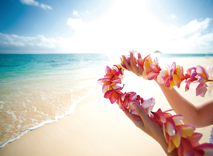 ハワイの花のある暮らし 一番人気のトロピカルプランツ プルメリア Hawaii Lifestyle Club