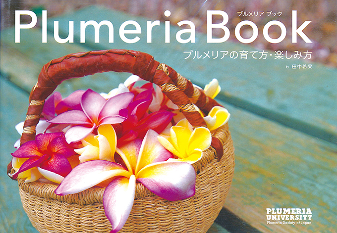ハワイの花のある暮らし プルメリアの増やし方 Hawaii Lifestyle Club