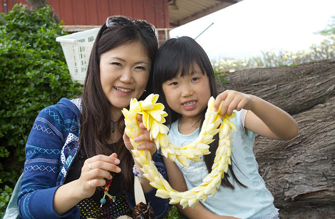 ハワイの花のある暮らし ハワイとプルメリアのはなし Hawaii Lifestyle Club